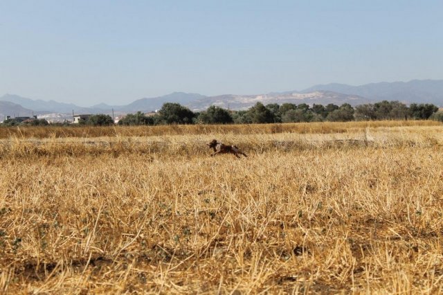 Αγωνες Α.Κ.Ι 11/6/2017